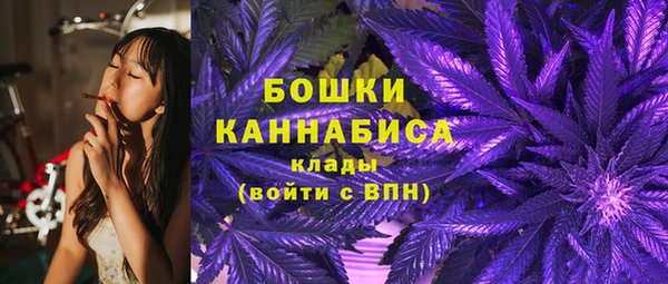 дживик Баксан